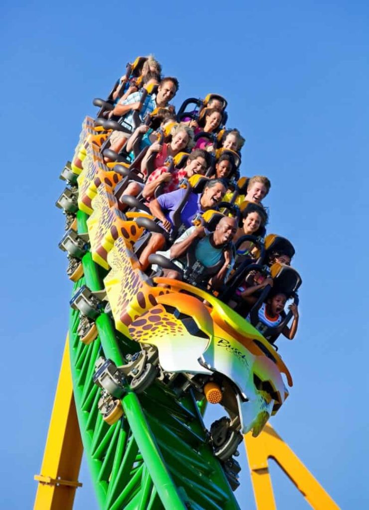 Cheetah Hunt 6