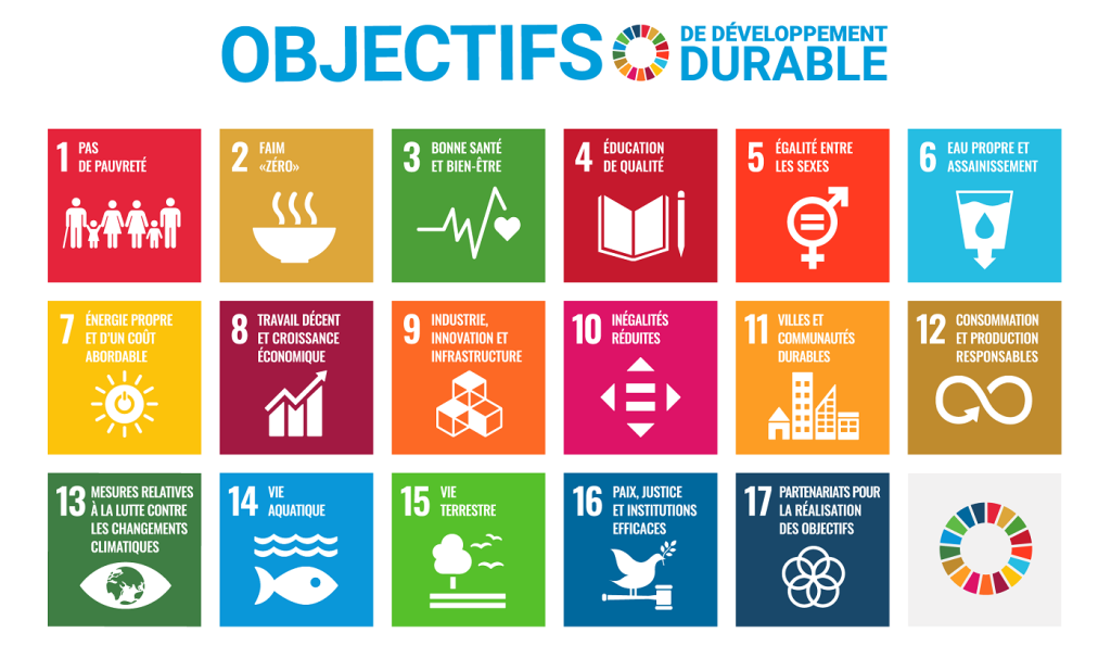 ODD 17 Objectifs Developpement Durable 1