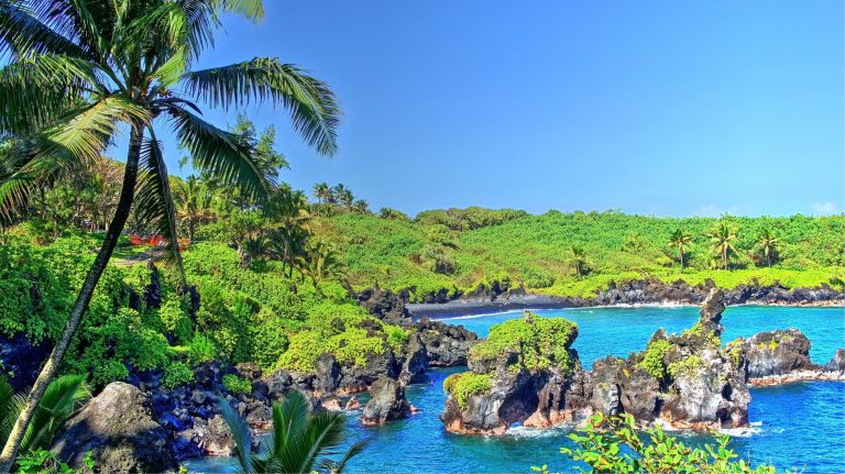 491343 tropical water tropical forest Hawaii isle of Maui Maui palm trees beach waterfall 1