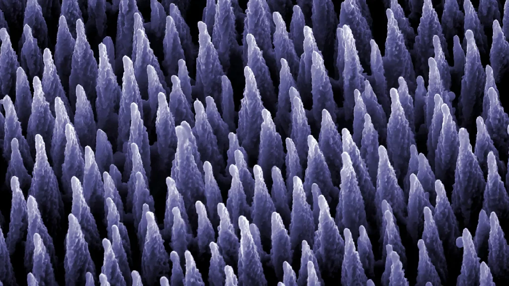 WebsiteWebP XL FMATS Main20Visual Purple Website