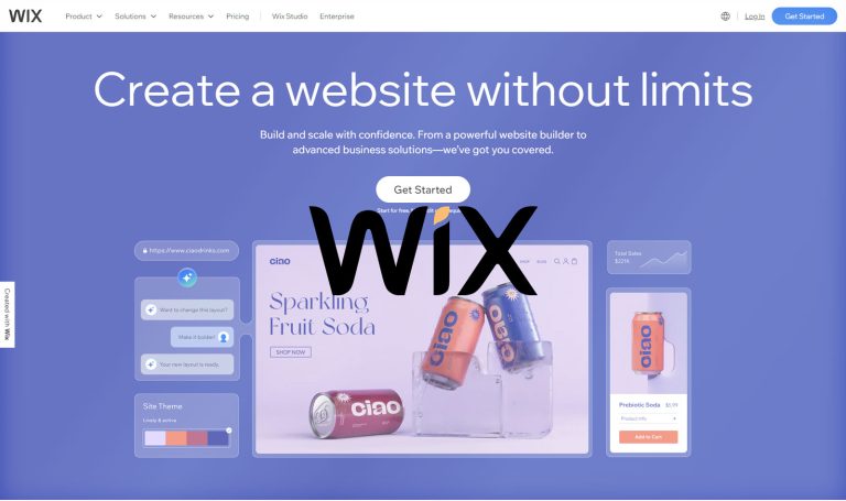 screencapture wix 2024 08 22 00 37 09