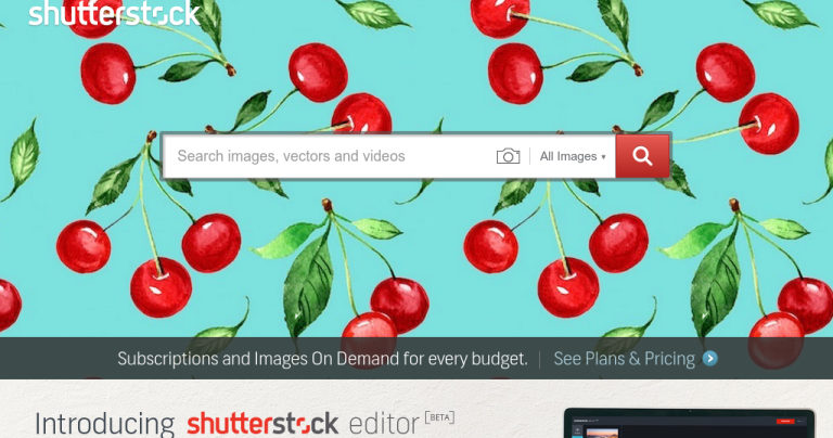 shutter