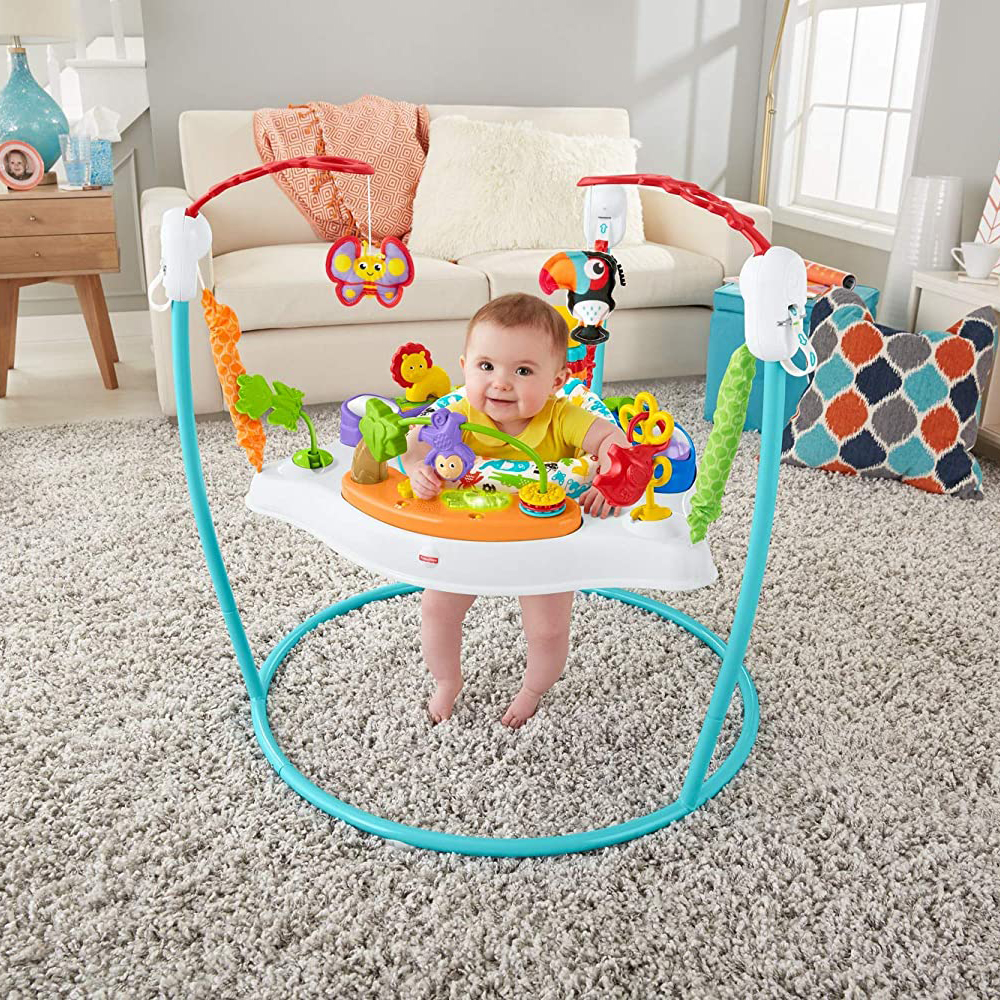 fisher price ffj00 bouncer 5 1